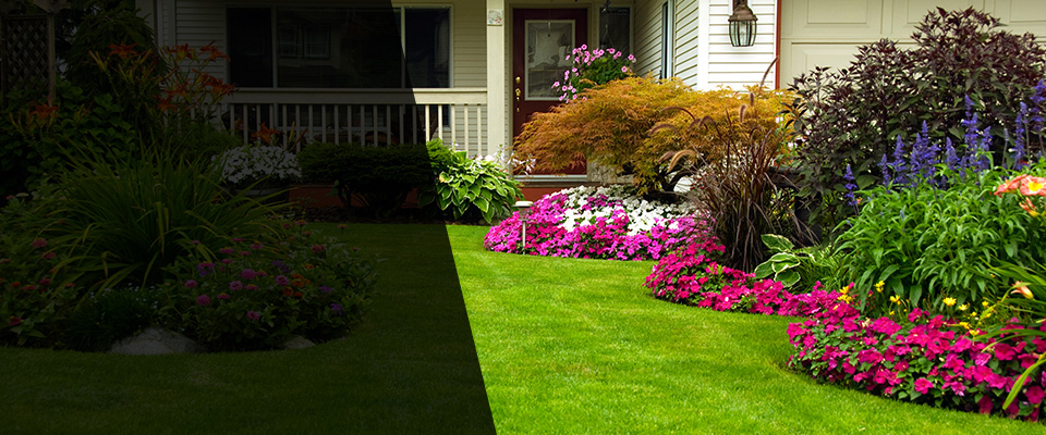 Canby Landscapers
