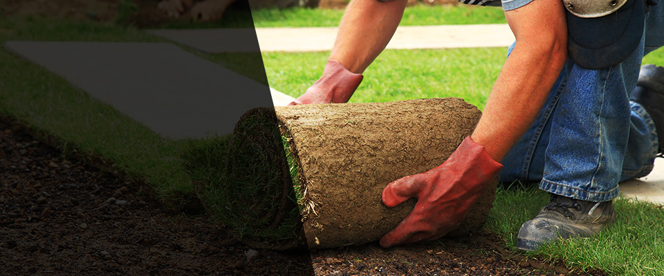 Canby Landscapers